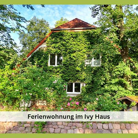 Апартаменти Ivy Haus Фалькензе Екстер'єр фото